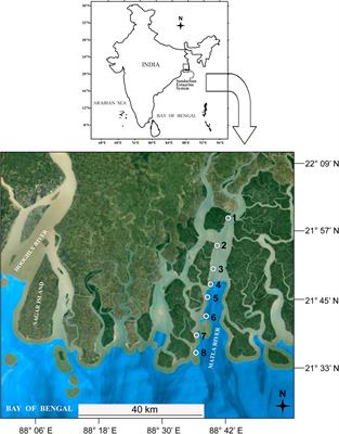 Disentangling the Effect of Seasonal Dynamics on Meiobenthic Community Structure From River Matla of Sundarbans Estuarine System, India